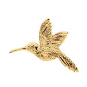 Brošňa kolibrík Rodie